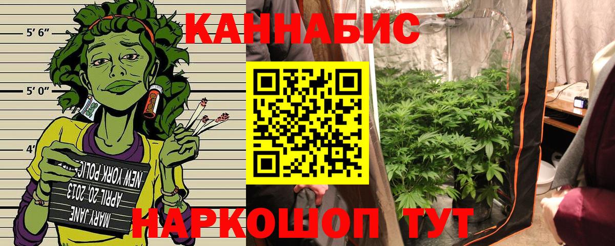 Дмитров  Каннабис семена  Марихуана OG Kush  Вход с VPN 